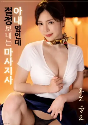 纸鸢计划